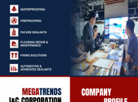 Megatrends I&C Corporati…